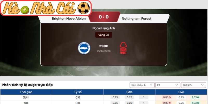 Kèo châu Á trận Brighton Hove Albion vs Nottingham Forest (21:00 01-03)